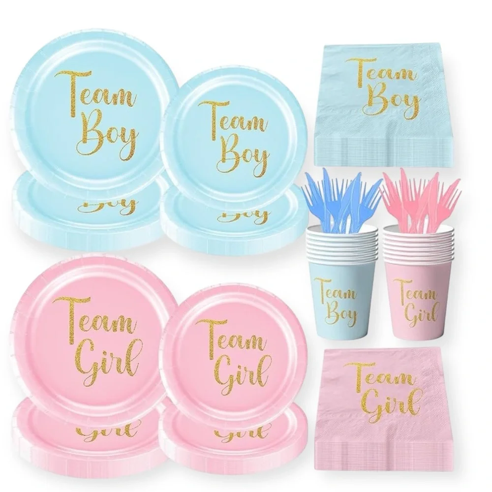 120 piece Gender Reveal Party Tableware Set - Team Boy & Team Girl